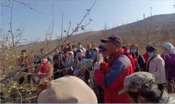 市产投集团在静宁帮扶村开展冬季果园管理培训(图2) 市产投集团在静宁帮扶村开展冬季果园管理培训(图2)