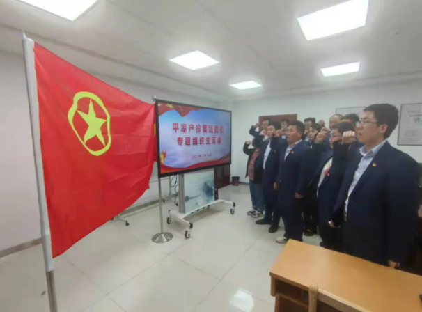 市产投集团团委召开2021年度专题组织生活会(图5) 市产投集团团委召开2021年度专题组织生活会(图5)